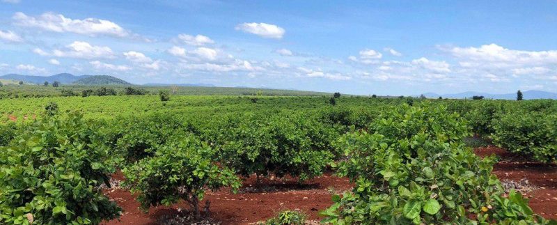 photo_2019-12-06_15-47-54