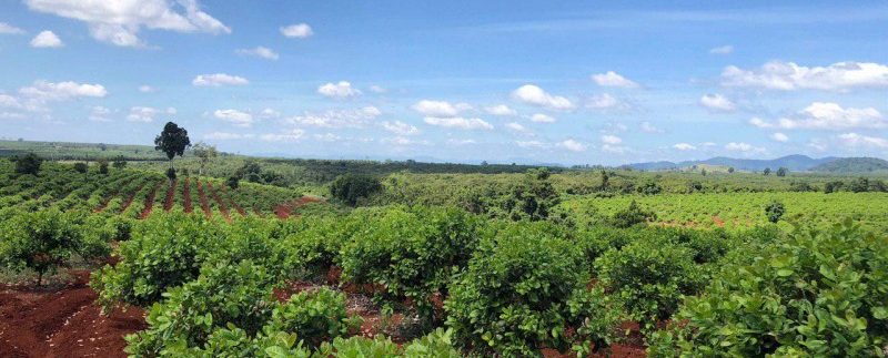 photo_2019-12-06_15-48-00