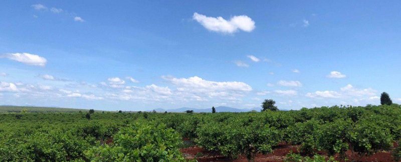 photo_2019-12-06_15-48-06