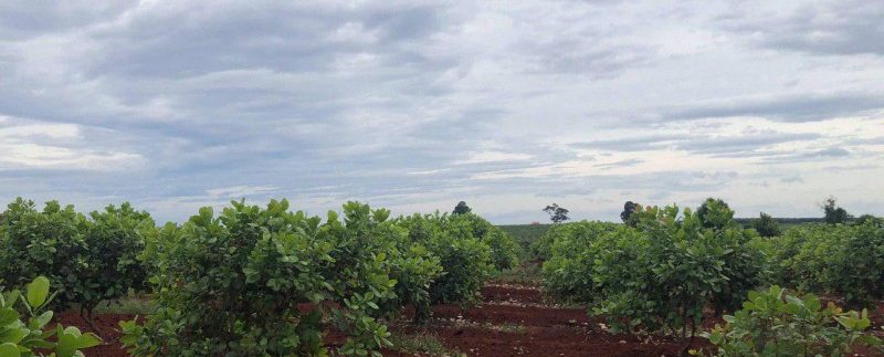 photo_2019-12-06_15-48-07