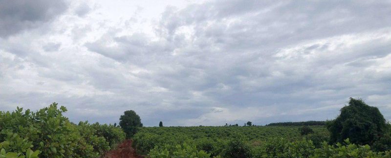 photo_2019-12-06_15-48-11