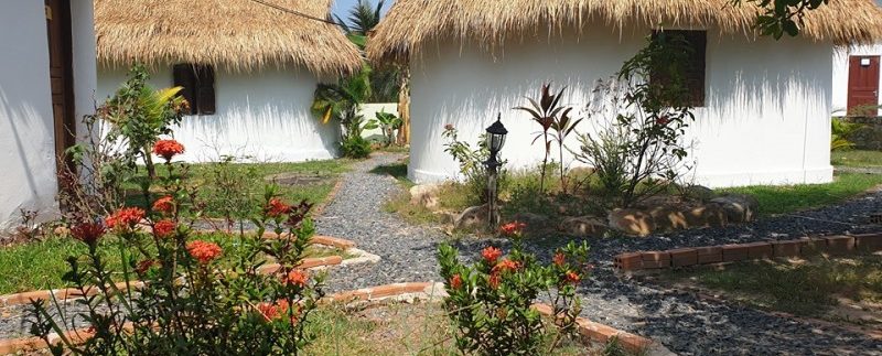 82544175_1051182685229691_7436794164320141312_n