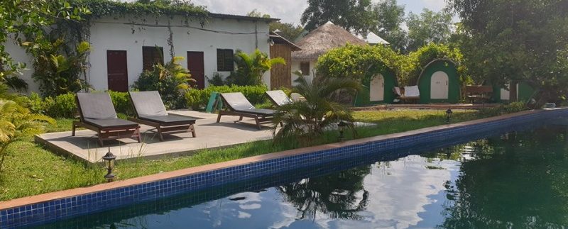 83049374_420130028680157_5942589726534926336_n