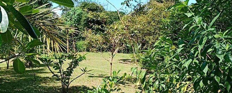 photo_2020-01-29_12-19-47