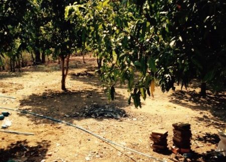 81340447_2552167438215390_1691095595583799296_n