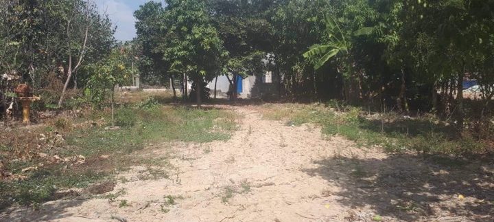 83196463_186559932462023_6094284256282935296_n