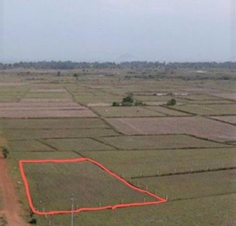 67187356_336722867246398_7587961632861454336_n