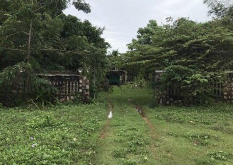 photo_2020-05-11_09-23-51 (2)