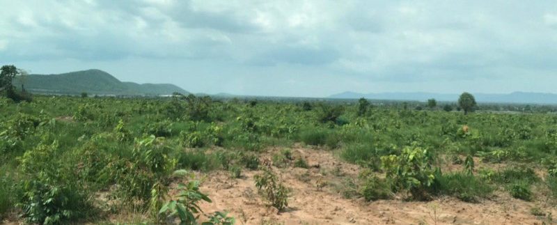 photo_2020-05-18_15-56-10