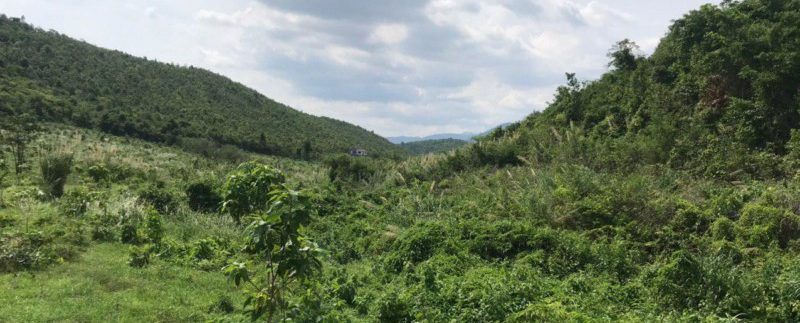 photo_2020-05-18_15-56-54