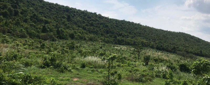 photo_2020-05-18_15-56-56