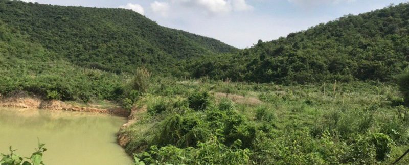 photo_2020-05-18_15-57-03