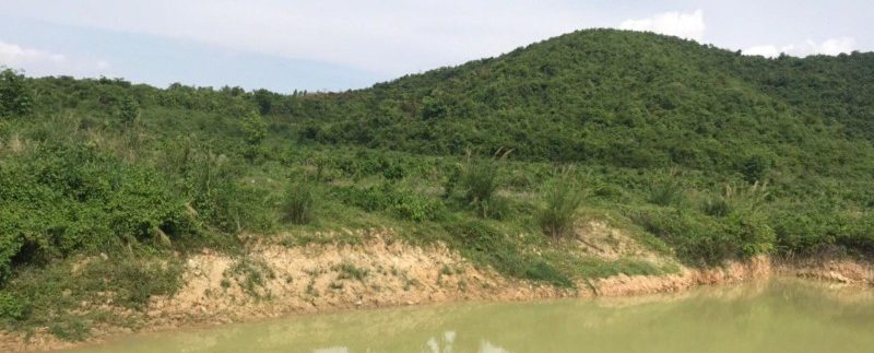 photo_2020-05-18_15-57-07