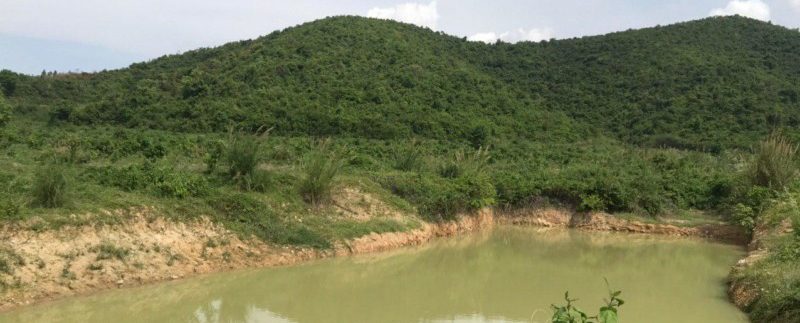 photo_2020-05-18_15-57-10