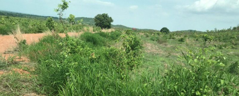 photo_2020-05-18_15-57-12