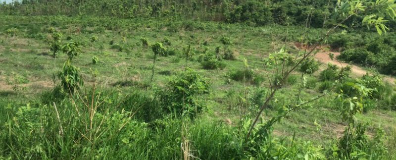 photo_2020-05-18_15-57-14