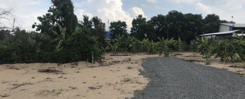 photo_2020-06-01_13-05-22 (3)