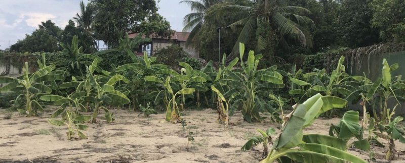 photo_2020-06-01_13-05-23 (2)