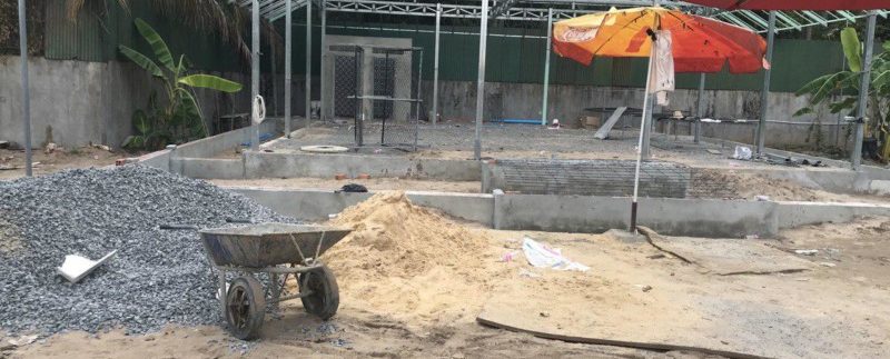 photo_2020-06-01_13-05-25