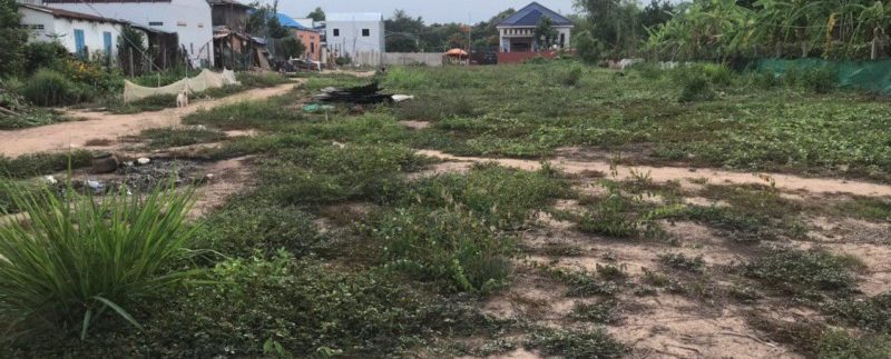 photo_2020-06-01_13-12-41