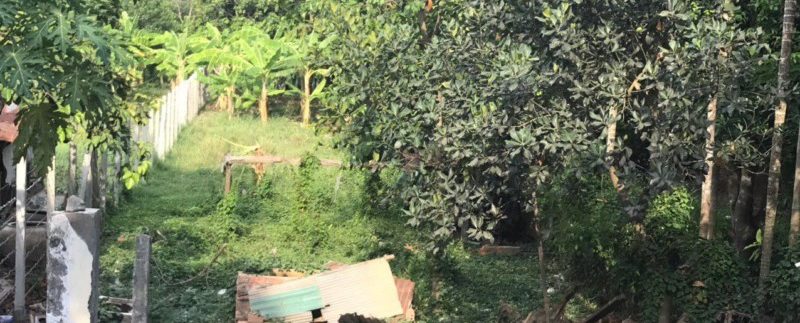 photo_2020-06-01_13-21-20