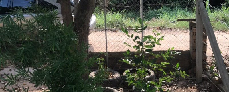 photo_2020-06-01_13-21-25