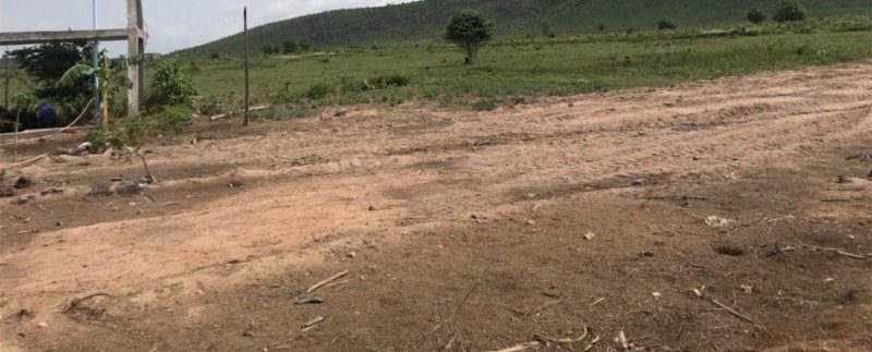 photo_2020-06-08_08-20-42