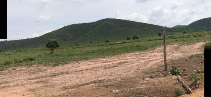 photo_2020-06-08_08-20-48