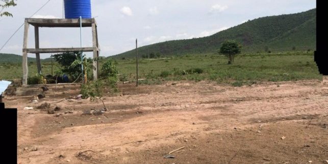 photo_2020-06-08_08-20-59