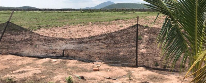 photo_2020-06-08_08-21-06