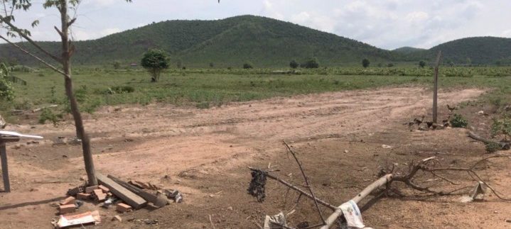 photo_2020-06-08_08-21-12