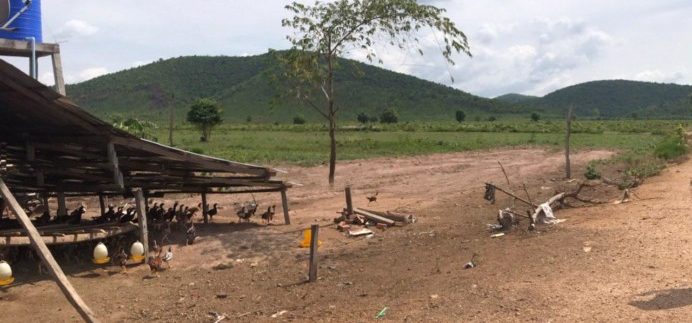 photo_2020-06-08_08-21-20