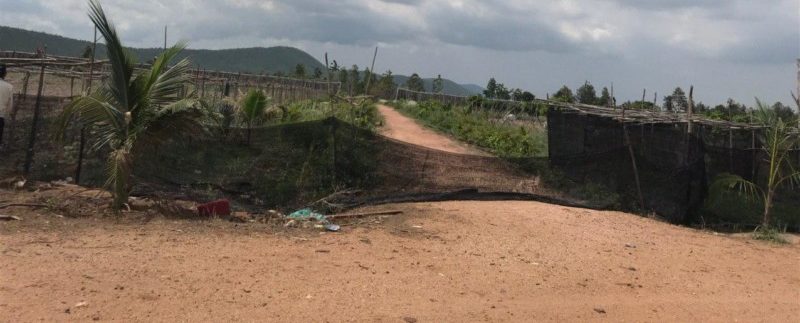 photo_2020-06-08_08-21-24