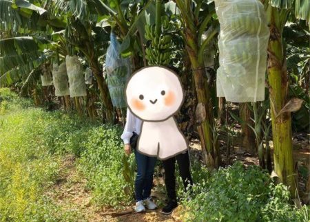 photo_2020-06-08_12-11-37