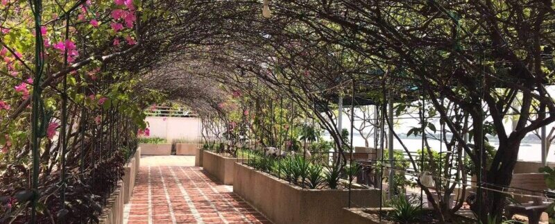 photo_2020-07-21_15-00-43