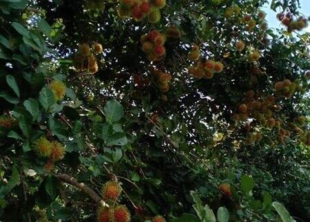 photo_2020-08-25_21-42-53