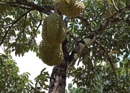 photo_2020-08-25_21-42-58