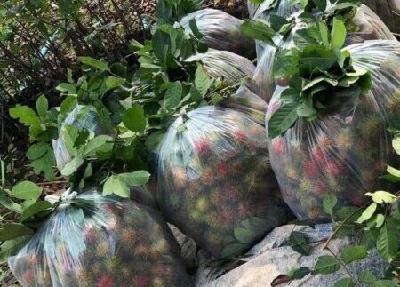 photo_2020-08-25_21-43-38