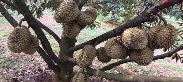 photo_2020-08-25_21-43-40