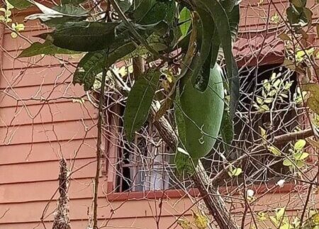 photo_2020-08-25_21-43-48