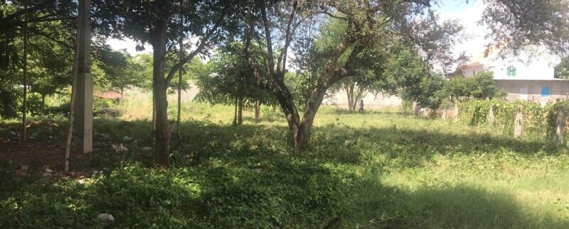 photo_2020-08-31_10-08-56