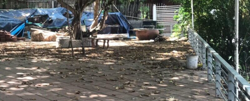 photo_2020-08-31_10-12-44