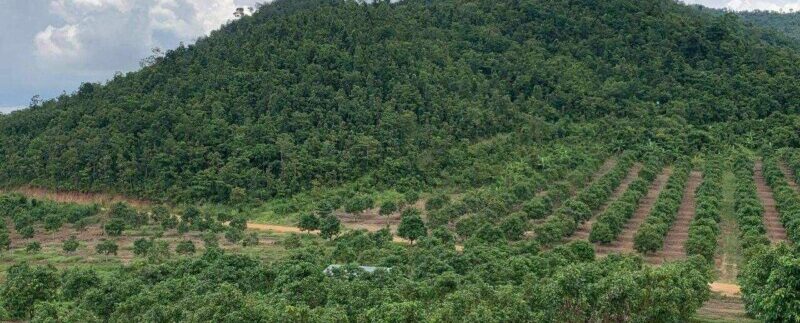 photo_2020-09-07_13-45-50