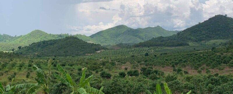 photo_2020-09-07_13-45-54