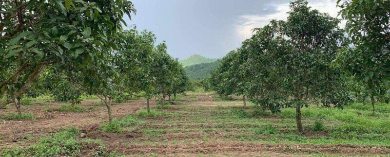 photo_2020-09-07_13-46-04