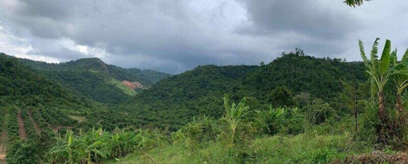 photo_2020-09-07_13-46-08