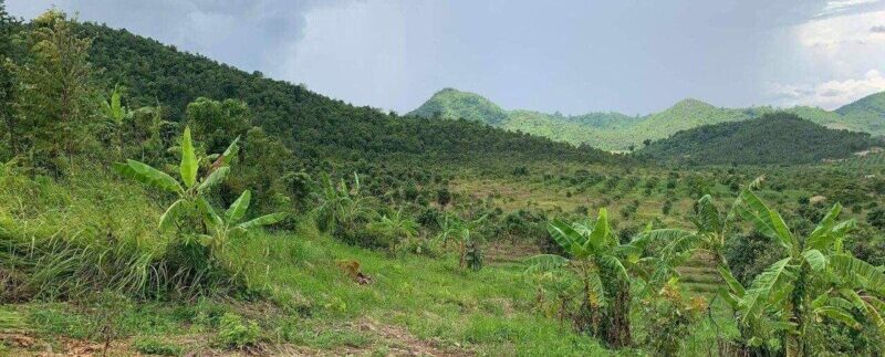 photo_2020-09-07_13-46-11