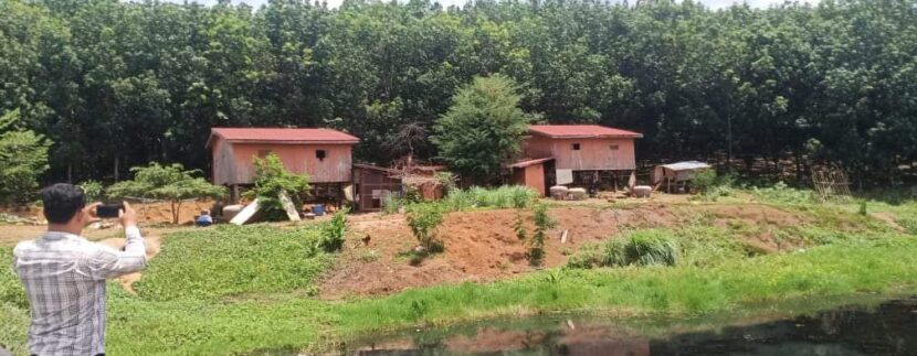 IMG_20200726_155228_676