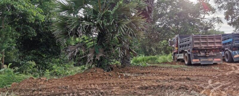 photo_2020-06-19_10-42-09