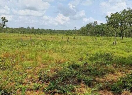 photo_2020-10-07_12-20-56